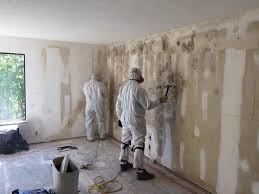 Why You Should Choose Our Mold Remediation Services in Northridge, OH